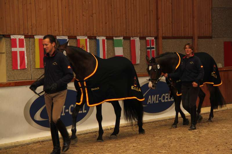 Campeonato de Europa de paraecuestre